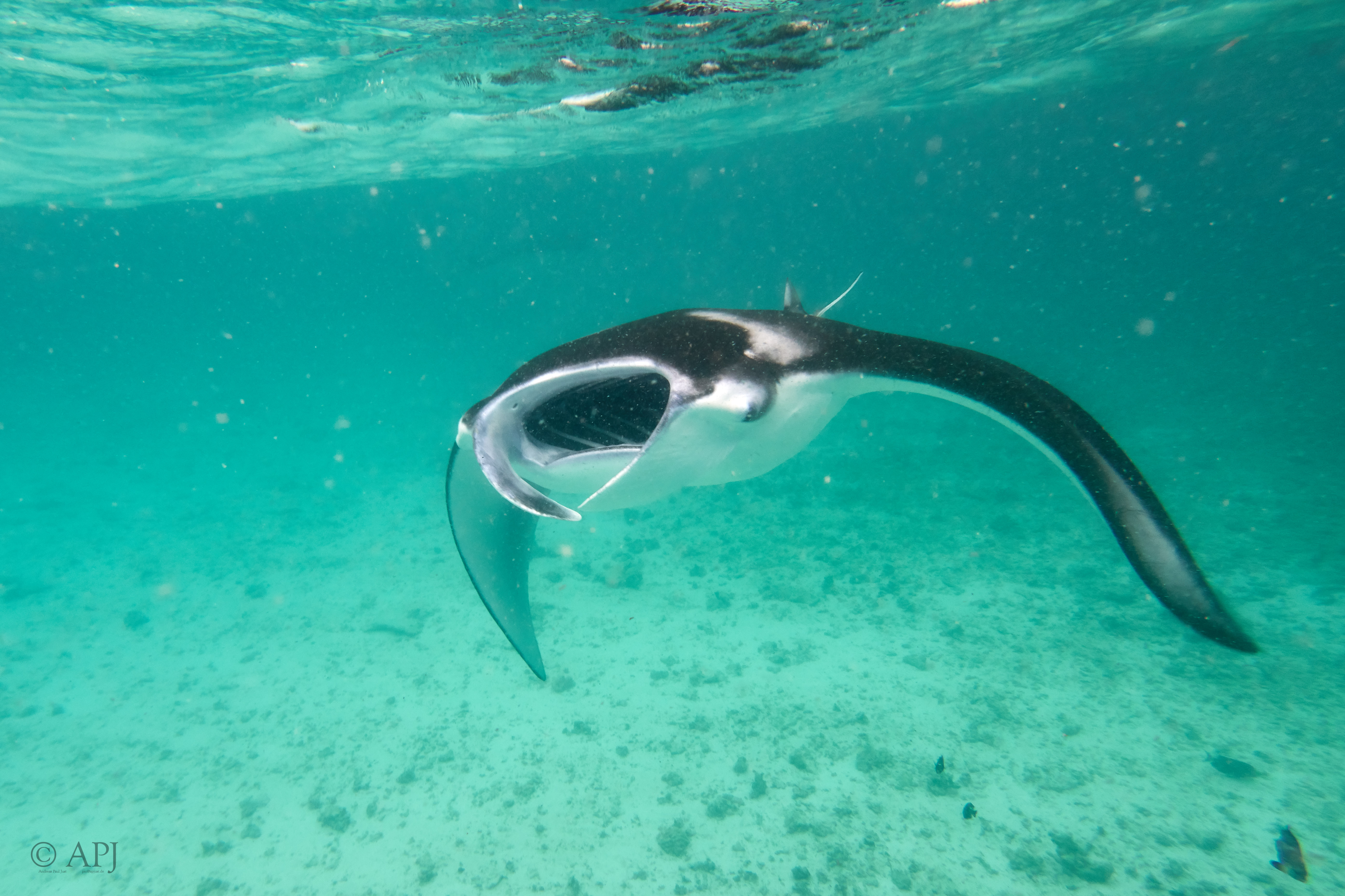 002610 17 08 17  Canon PowerShot G7 X Mark II   Malediven2017